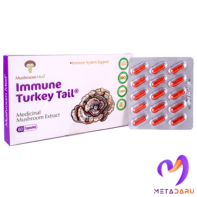 ایمیون ترکی تیل IMMUNE TURKEY TAIL CAP (MUSHROOM MED)